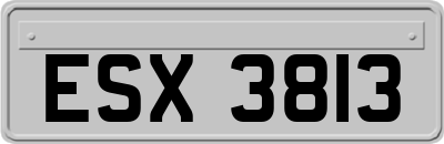 ESX3813