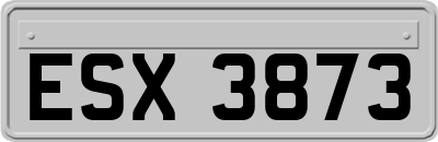 ESX3873