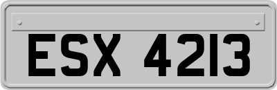 ESX4213