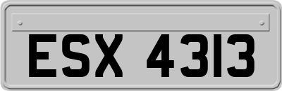 ESX4313