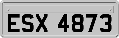 ESX4873