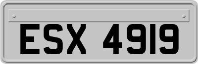 ESX4919