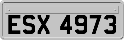 ESX4973