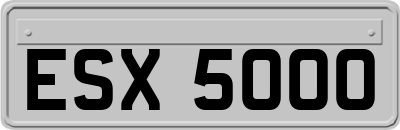 ESX5000