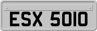 ESX5010