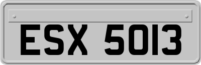 ESX5013