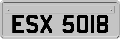 ESX5018