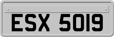 ESX5019