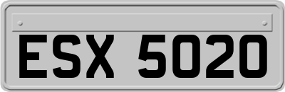 ESX5020