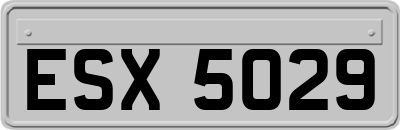 ESX5029