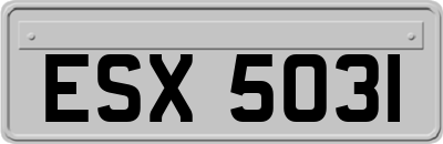 ESX5031