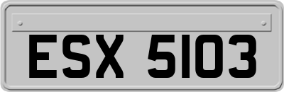 ESX5103
