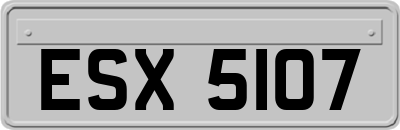 ESX5107