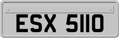 ESX5110