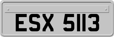 ESX5113