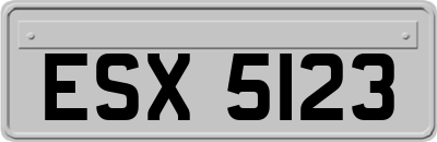 ESX5123