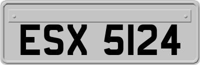 ESX5124