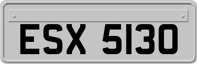 ESX5130