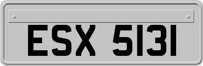 ESX5131