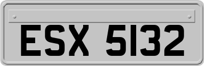 ESX5132
