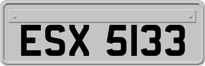 ESX5133