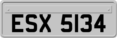 ESX5134