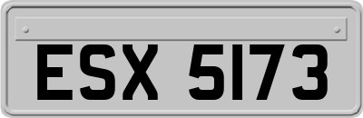ESX5173