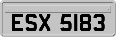 ESX5183