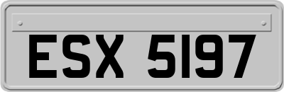 ESX5197