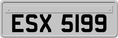 ESX5199