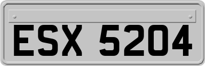 ESX5204