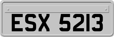 ESX5213