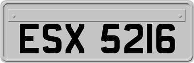 ESX5216