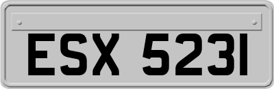 ESX5231