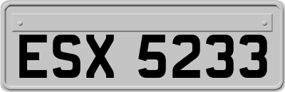 ESX5233