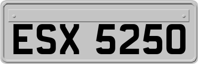 ESX5250