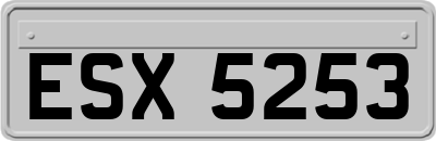 ESX5253