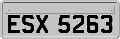 ESX5263