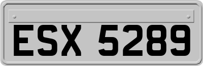 ESX5289