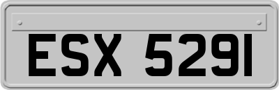 ESX5291