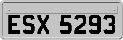 ESX5293