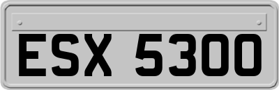 ESX5300