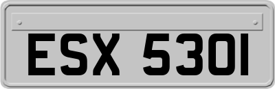 ESX5301