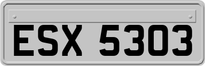 ESX5303