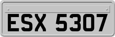 ESX5307