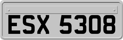 ESX5308