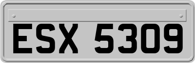 ESX5309