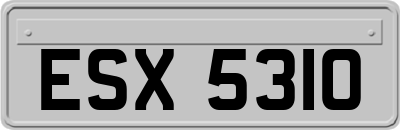 ESX5310
