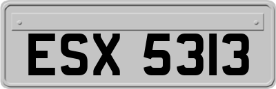 ESX5313
