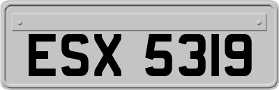 ESX5319